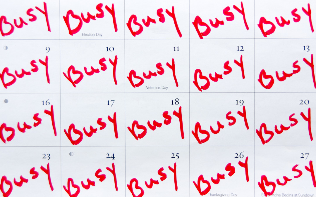 Busy busy busy
